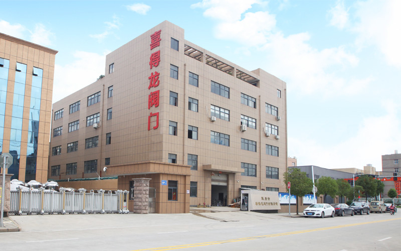 Китай Wenzhou Xidelong Valve Co. LTD Профиль компании